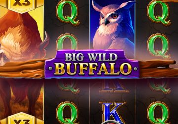 Игра Big Wild Buffalo в NinaBet Casino