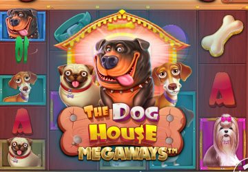 Слот The Dog House Megaways в NinaBet Casino