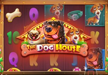 Слот The Dog House в NinaBet Casino